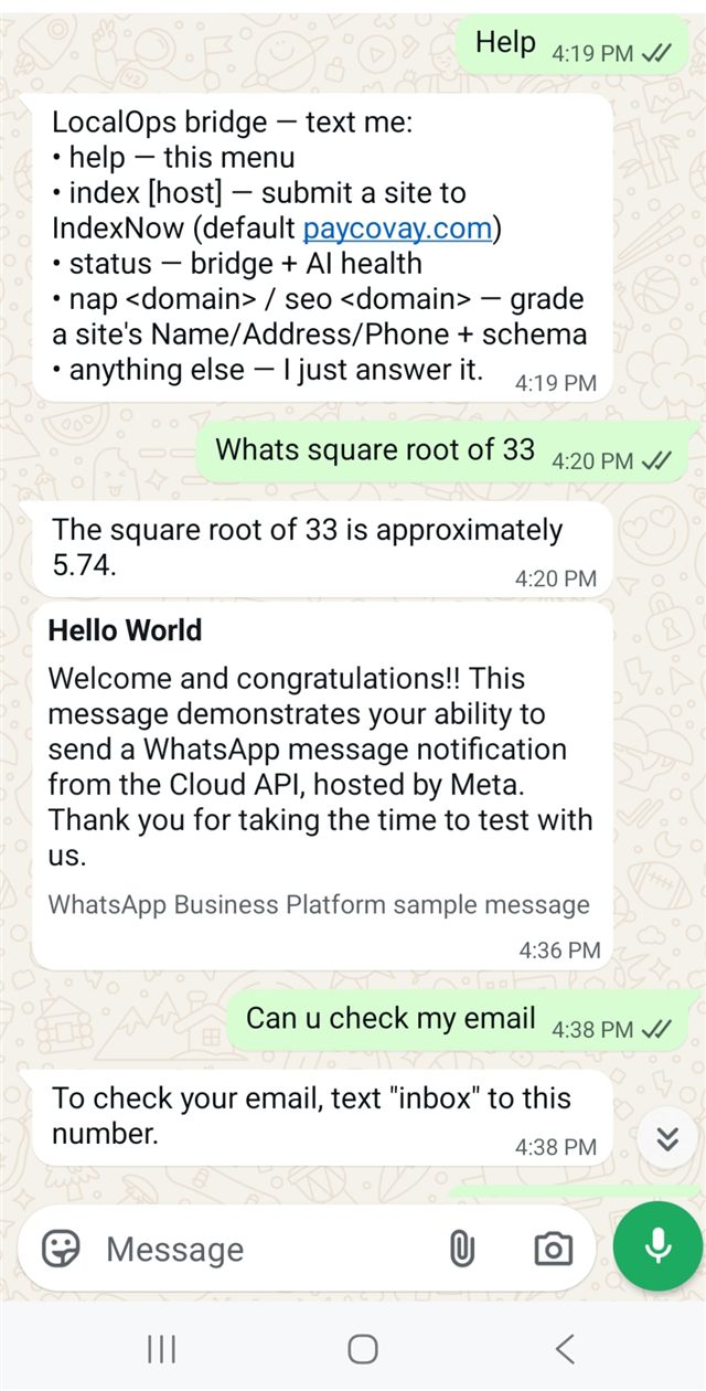 Chat de WALO por WhatsApp para tareas diarias